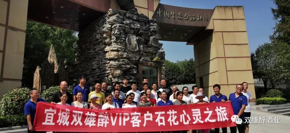 活力四射，宜城客戶的心靈之旅