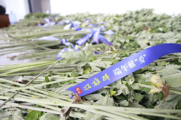 贈(zèng)你一束“艾”，端午祈安康，雙雄醉端午獻(xiàn)“愛(ài)”