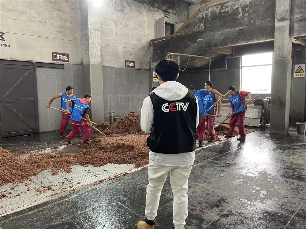 CCTV《品牌之路》優(yōu)品開(kāi)箱選題組順利完成石花雙雄醉素材拍攝