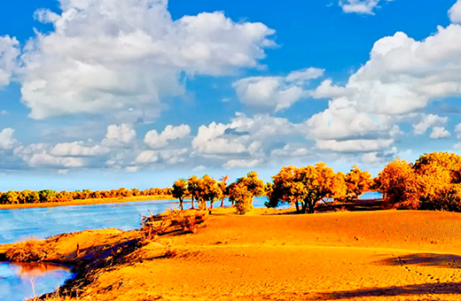 阿拉善電業(yè)局