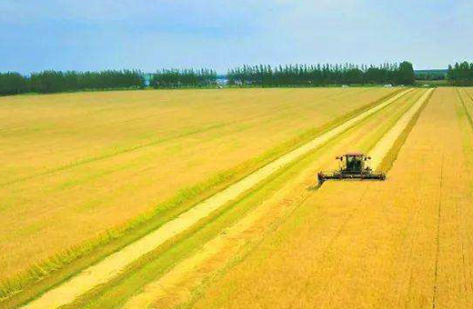 蒙東甕?，F(xiàn)代農(nóng)業(yè)服務(wù)